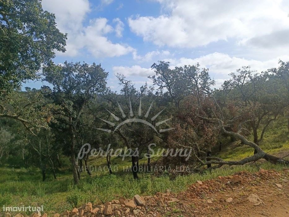 Terreno Rustico São Francisco da Serra