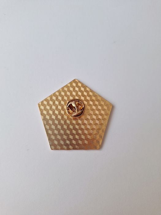 Broszka pin przypinka Harry Potter czekoladowa żaba