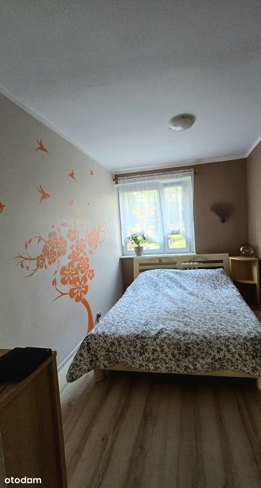 Zdjęcie 4