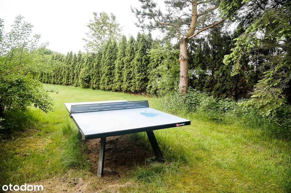 Kompletne siedlisko w Białuniu — dwa domy na działce 4060 m.