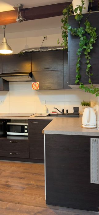 Apartament Szafir, wynajem mieszkań Rzeszów, centrum miasta, noclegi