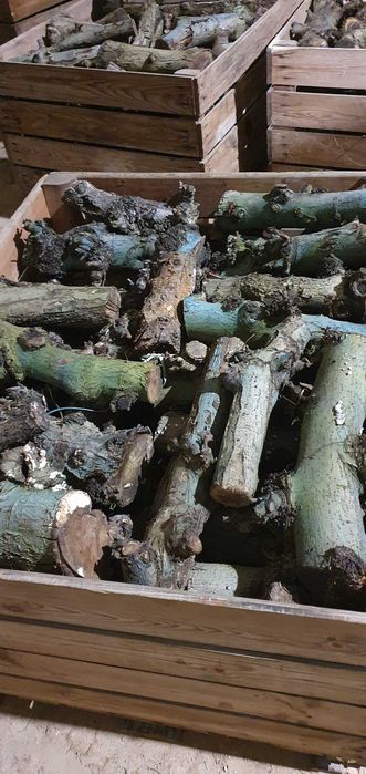 Lenha macieira para venda