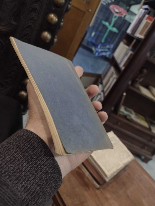 Carta Politica - B. Mendonça 1925