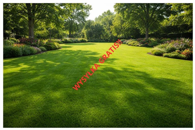 Mieszanka traw na trawnik, trawa gazonowa, nasiona eko, paszowe, wysyłka gratis!