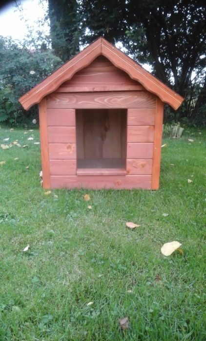 buda  dla  psa budy ocieplone!!!