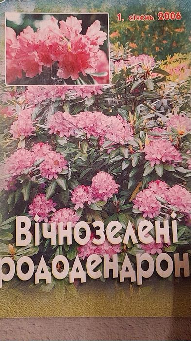 А.У. Зарубенко. Вечнозеленые рододендроны