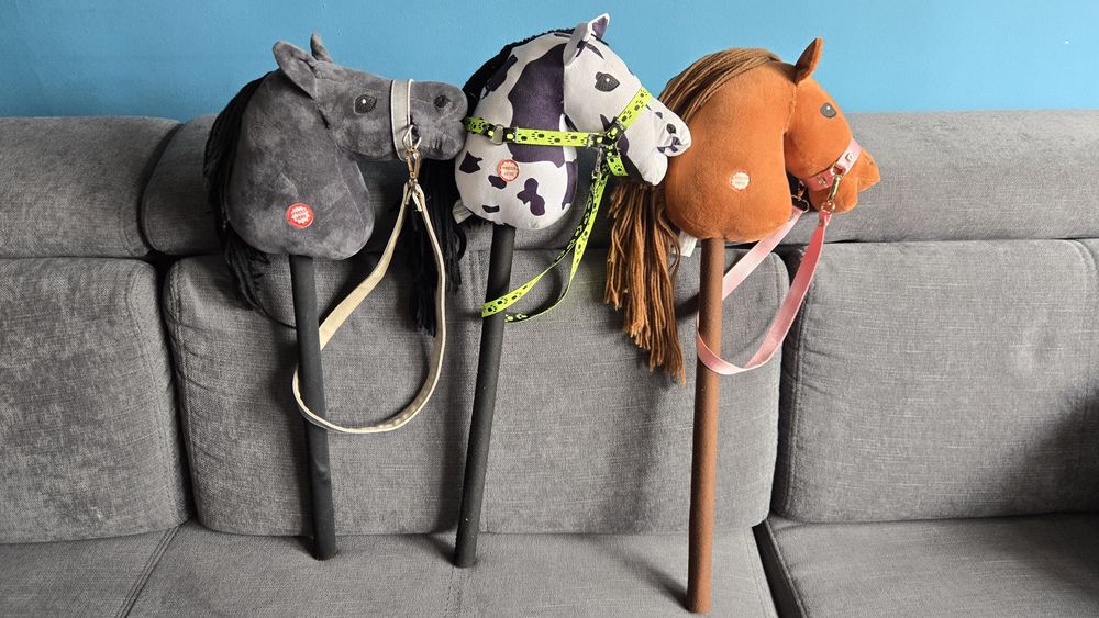 Hobby horse x3 :)