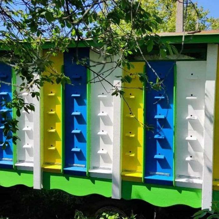 Павільйон для бджіл
