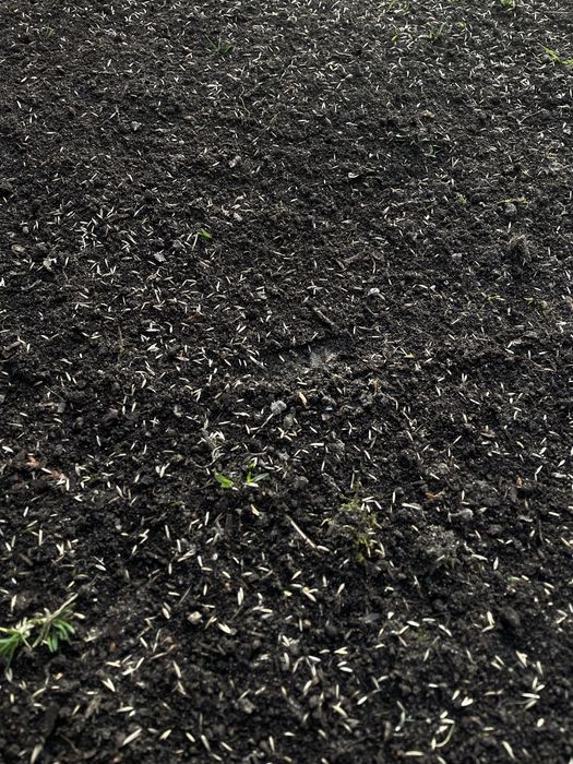 100%Kompostownik 2 letni naturalny