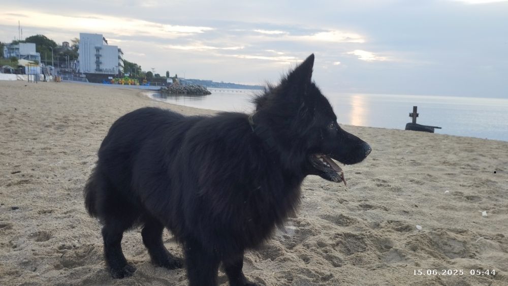 Гарний парубок Німець шукає собі дівчінку для шаленного коханняо