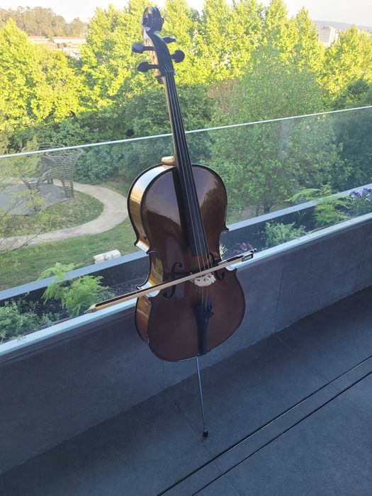 Violoncelo Stentor 1/4