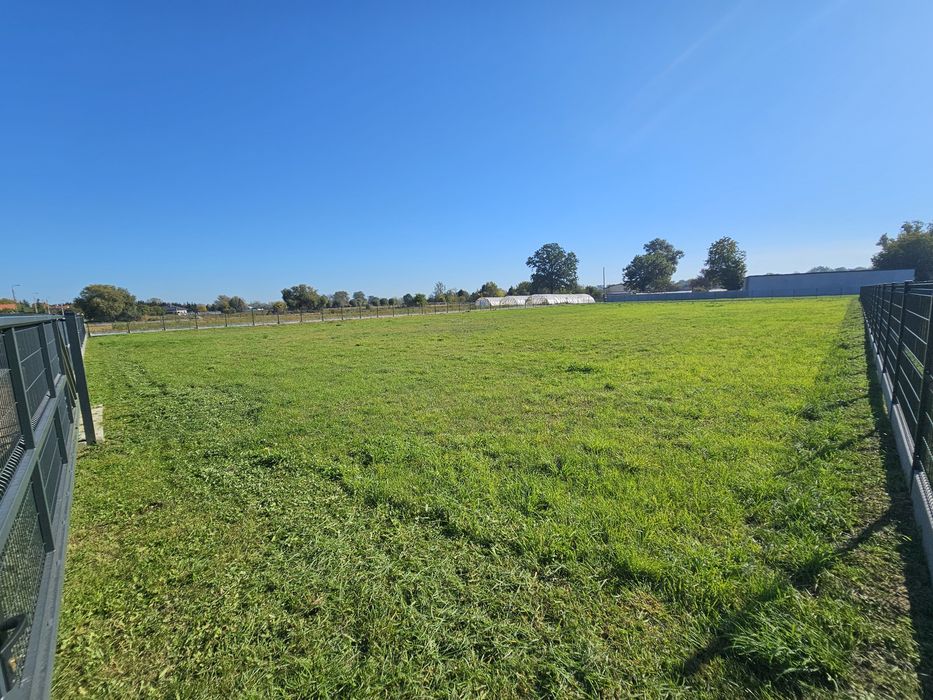 Ogrodzona działka 3600 m² na wynajem - Widok 2