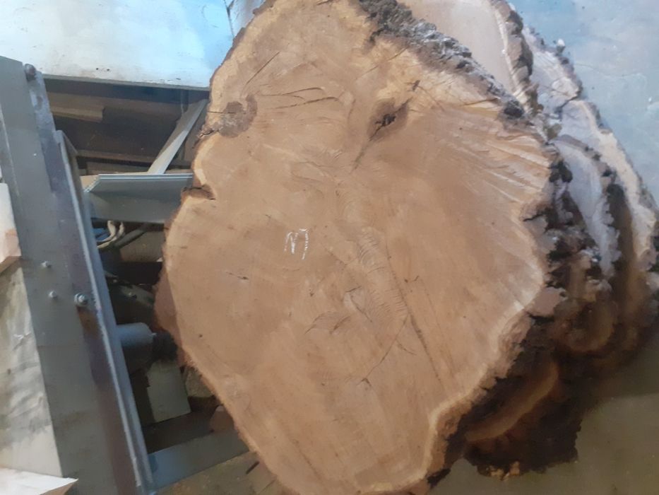 Слеб торцевой 1 метр диаметром