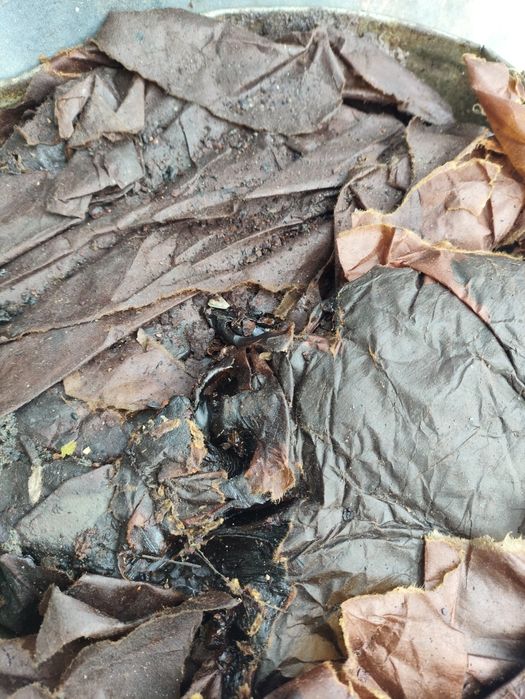 Продам Солідол Ж,Солідол С