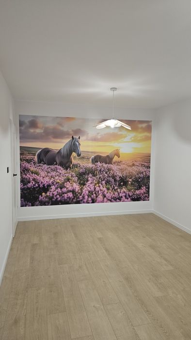 Ścianodruk - Profesjonalny druk na ścianach - druk ścienny