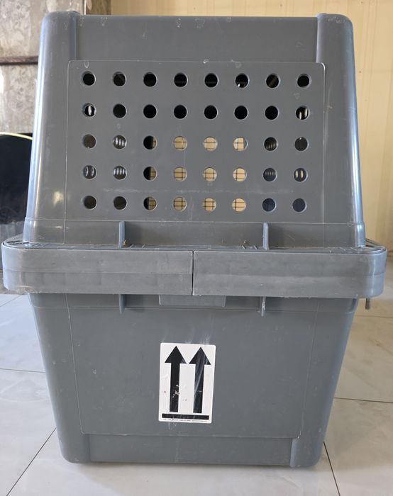 Авиабокс для крупной собаки