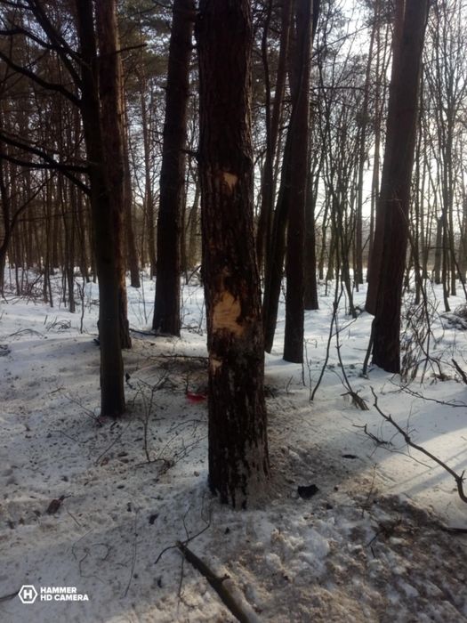 wał napędowy sprinter w907 a907 max