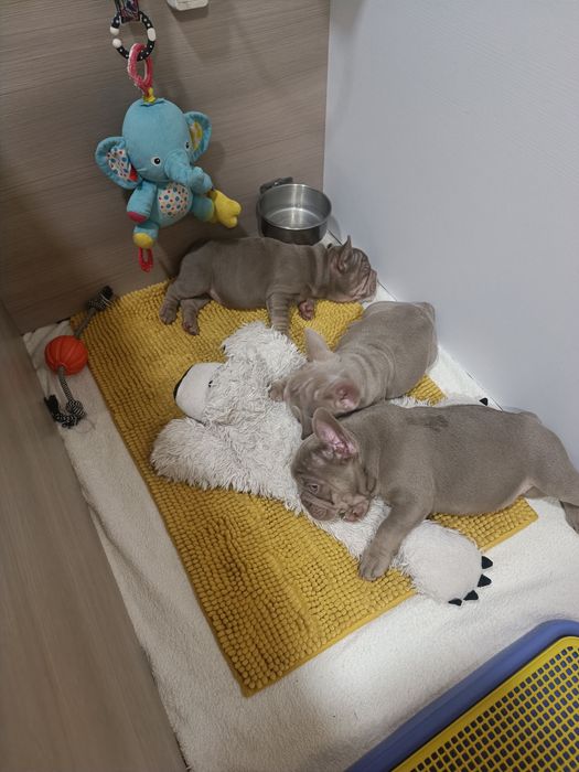 Доступний хлопчик спішіть