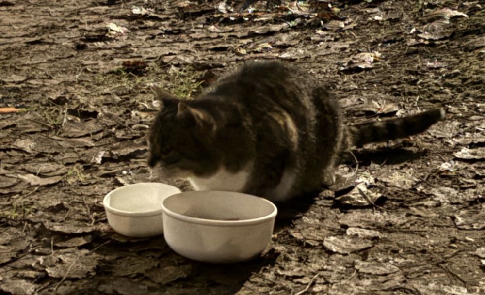 Zestaw Ferrero Rocher Bakalie i Twix czkoladki nowe
