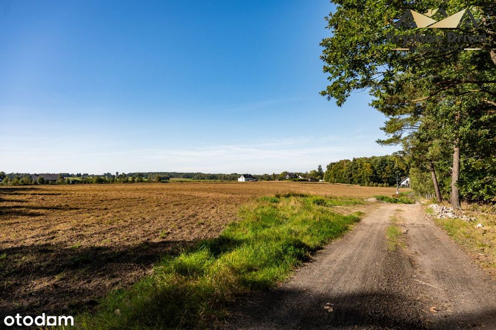 Działki pod siedlisko w gm. Czarna Dąbrówka! - Widok 5