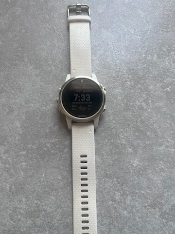 Garmin Fenix 5s Sapphire