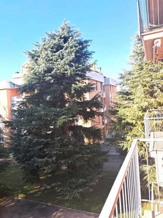 6 кімнат. квартира в елітному районі біля парку в місті Імола (Італія)