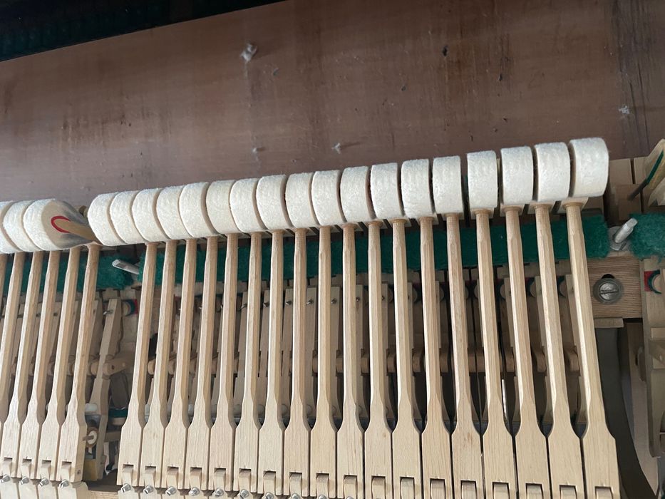 Piano de cauda Ibach Richard Strauss FIII - F3