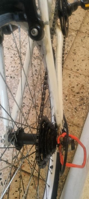 Bicicleta desporto