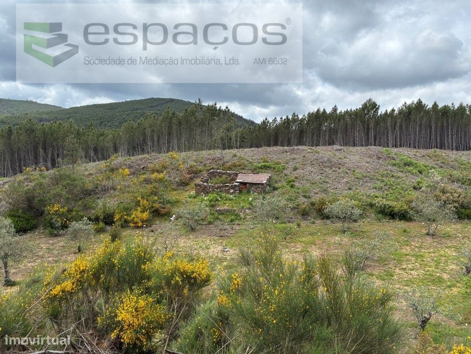 Plot of Land with Olive Grove and Irrigation