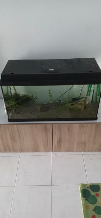 Aquário 80 40 50 com luz