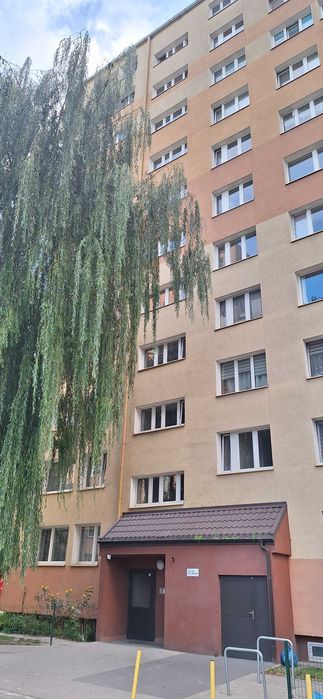 Zdjęcie 8