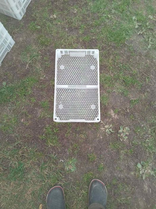 Ящики для малини/лохини/клубники