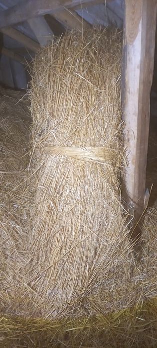 Słoma/Oddam za darmo/Radachówka