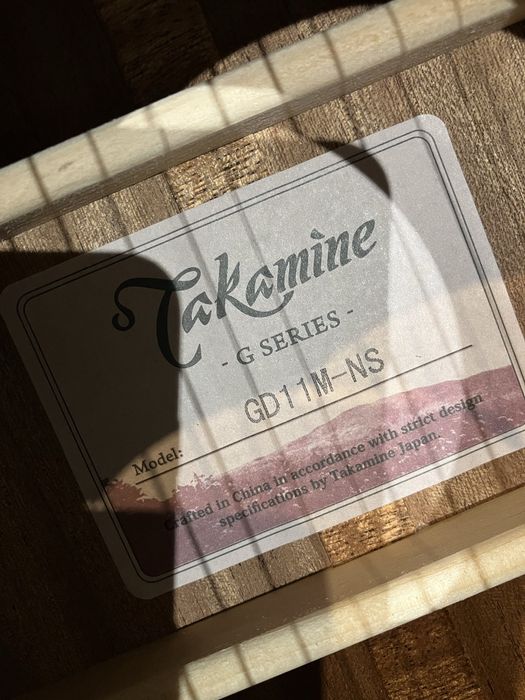 Takamine GD11M-NS