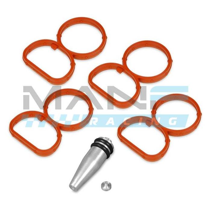 Soluções para Eliminar EGR, Permutador Água e Flap Delete em BMW