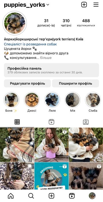 Дівчинка йорк міні