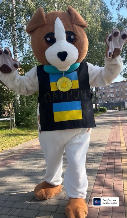 Пес патрон костюм вніматори
