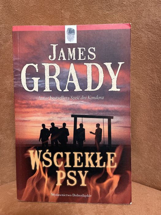 James Grady „Wsciekłe psy” , polecam .