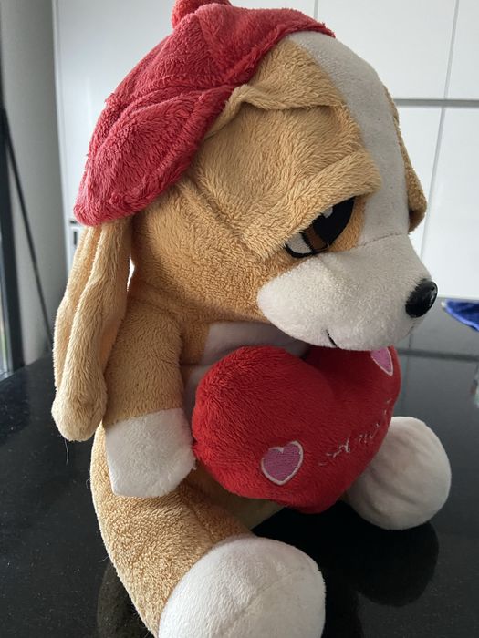 Cão de peluche com coração