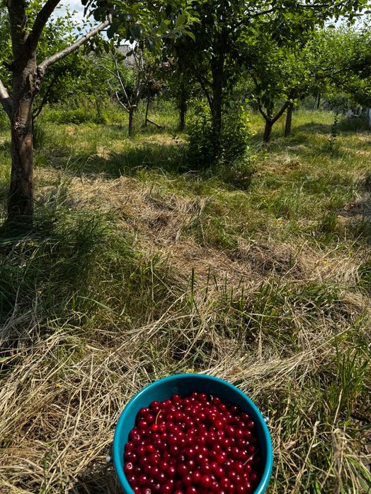 Срочно  продаж або обмін на кв