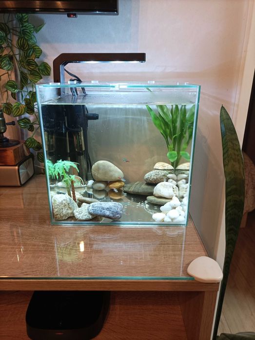 Aquário Completo Aquatlantis kubus 15l com LED, biofiltro e Aquecedor