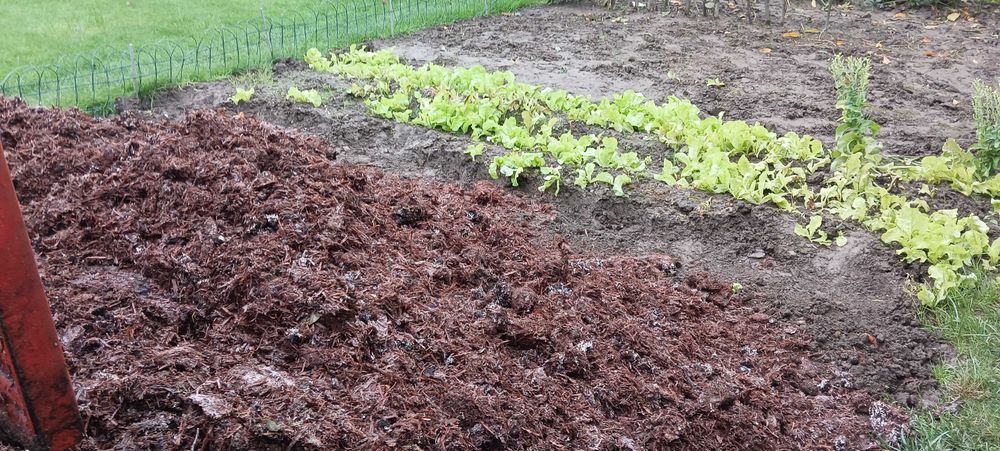 Zrębki, ściółka dekoracja do ogrodu, grządki szklarni - transport