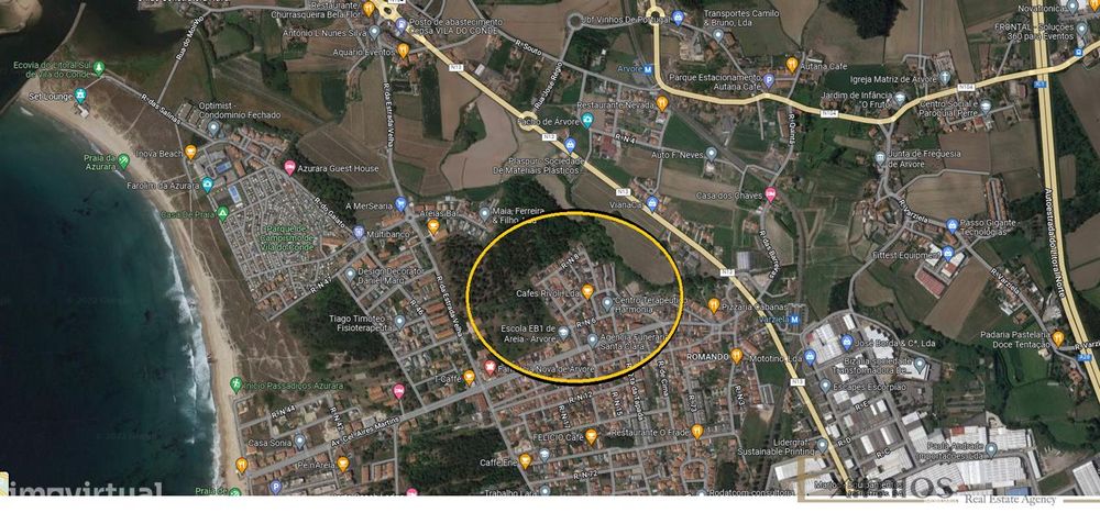 Terreno para construção em Árvore