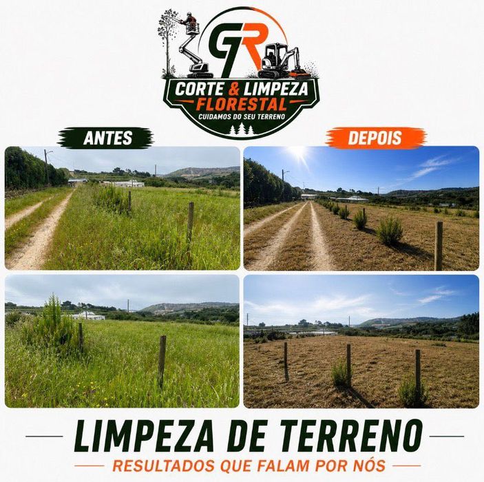 Limpeza de terrenos/desmataçao torres vedras