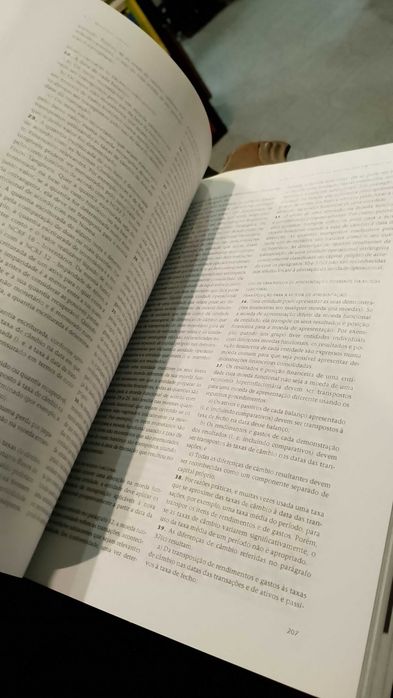 SNC Sistema de Normalização Contabilística - Ana Maria Rodrigues