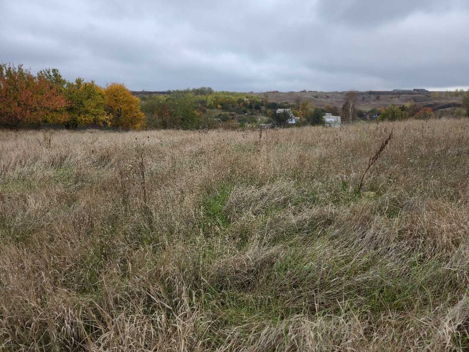 Продам будинок у селі Черкаська Лозова , 25 соток