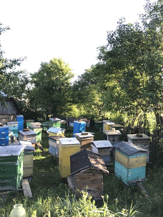 Підмор 30% якісний Подмор Вoсковa міль
