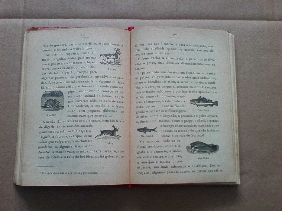 Livro de Leitura  - Quarta e Quinta classe