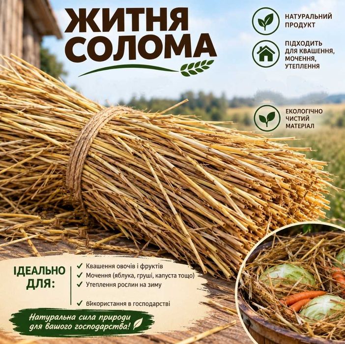 Житня солома 2026 р.