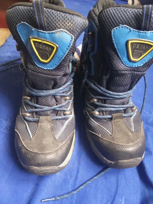 Красівки філа весна осінь, нормальний стан